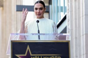 Gal Gadot security
