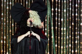 Sia divorce custody