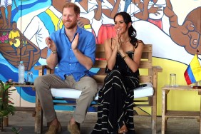 meghan markle prince hary