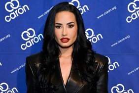 demi lovato poot meme