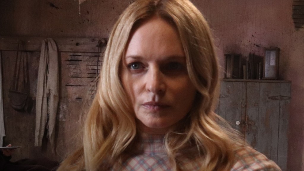 Heather Graham Comments on Being Child-free