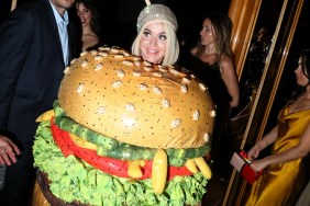 Katy Perry's AI Photo at the Met Gala 2025 Goes Viral