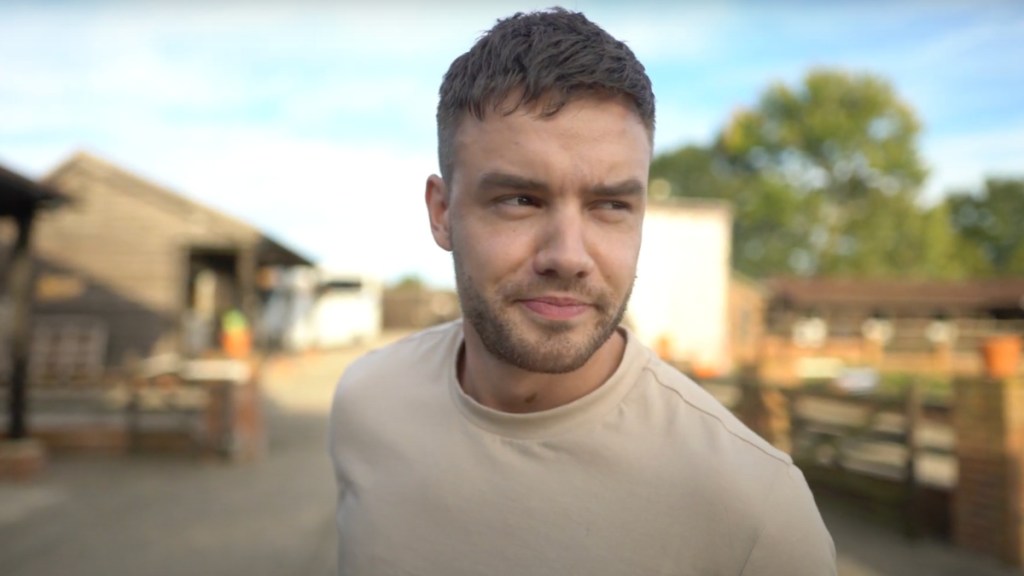Liam Payne's Ex Cheryl Cole To Manage $32.2 Million Estate