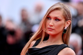 Bella Hadid Autoimmune Disease Update Explained