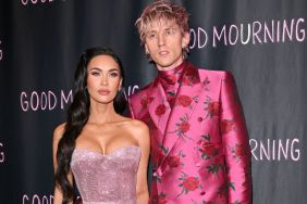 Megan Fox pregnancy
