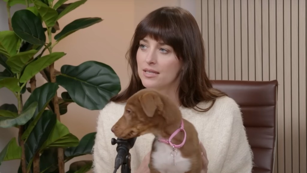 Dakota Johnson and Chris Martin dog Tokyo