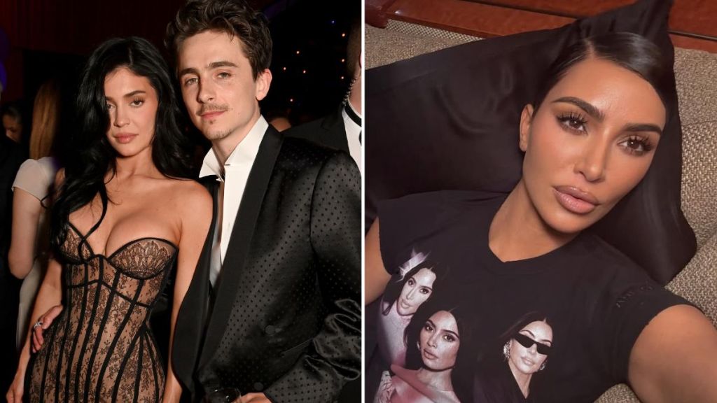 Timothee Chalamet SKIMS