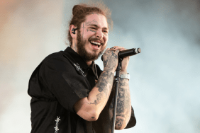 Post Malone fell off stage