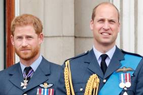 Prince Harry ‘Worried’ About Possible Exile After Prince William Becomes King, ‘Expert’ Claims'