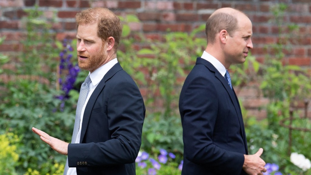 prince william prince harry