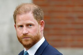 Prince Harry's Reaction to 'Family Guy' Diss Was 'Tense,' Says 'Source'