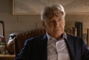 Harrison Ford Talks About Michael J. Fox's Presence on Shrinking Set