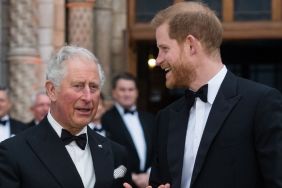 Prince Harry King Charles