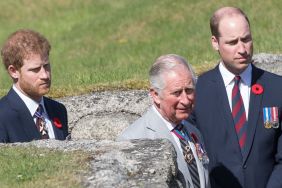 Prince William Prince Harry King Charles