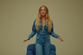 american eagle stock sydney sweeney memes