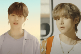 BTS Members V & Jimin Go Shirtless in Beach Video
