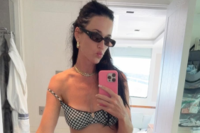 Katy Perry Shows Off Abs in Itty-Bitty Black Bikini