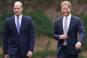 prince william prince harry