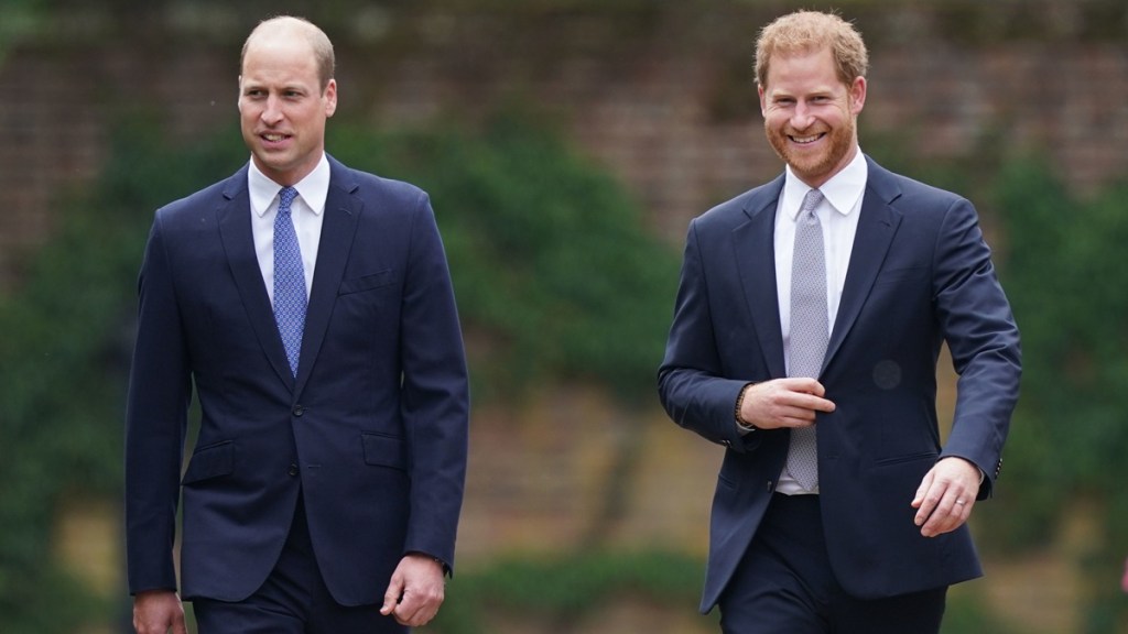prince william prince harry