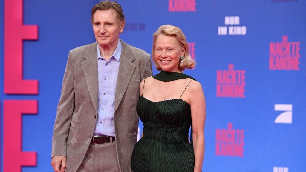 liam neeson julian assange pamela anderson