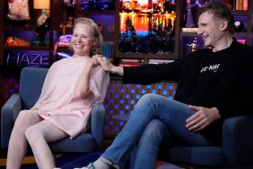 pamela anderson liam neeson