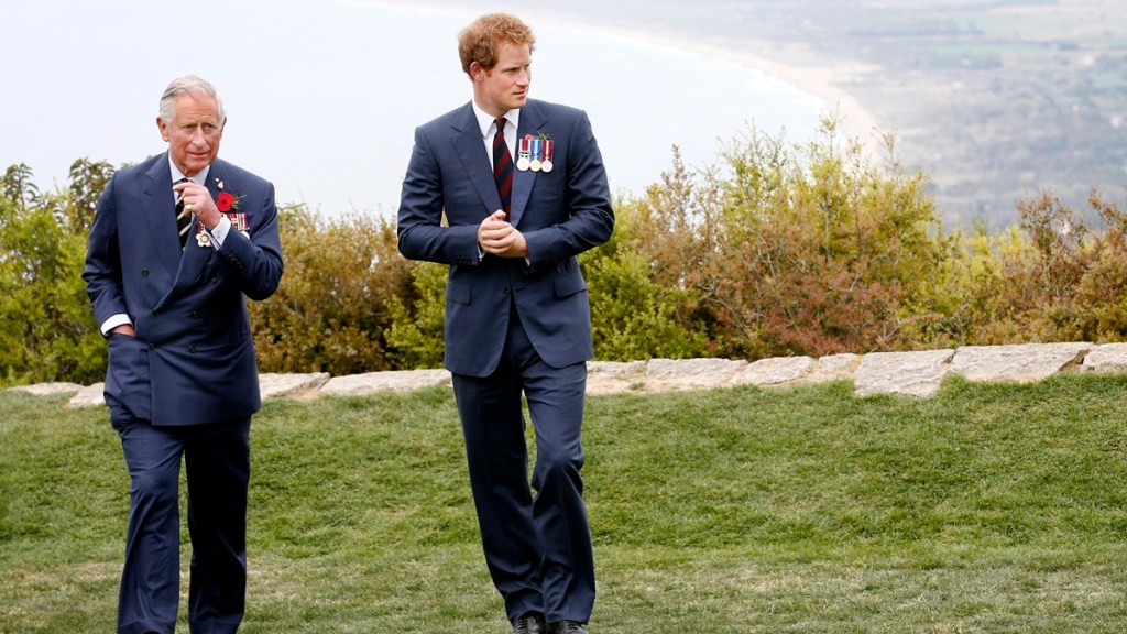 prince harry king charles