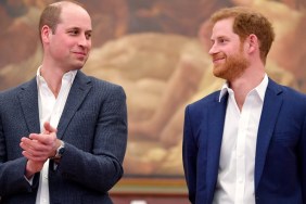 prince william prince harry