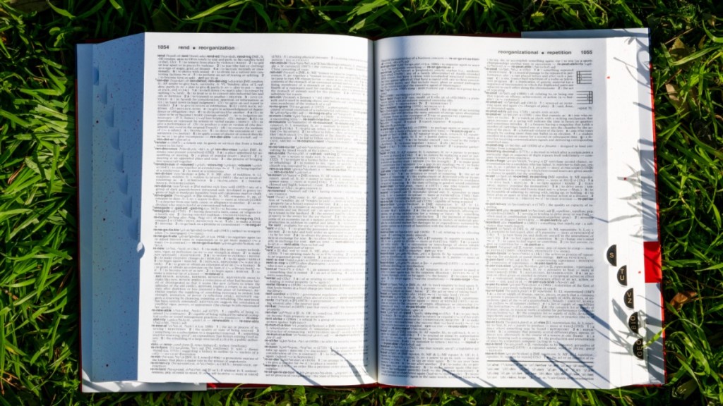 Skibidi, Delulu & Other Internet Slang Added to Cambridge Dictionary