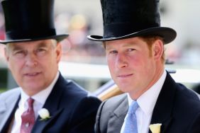 Prince Harry Prince Andrew fight