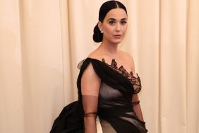 Katy Perry Dares To Bare in a Fully Sheer Dress in New Photos