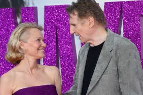 Liam Neeson & Pamela Anderson's Relationship Has Just Begun, Claims Source