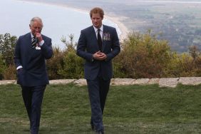 Prince Harry Sends Letter to King Charles as Reunion Effort, Says Source