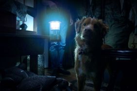 Good Boy to Receive Full Wide Release After the Viral Trailer