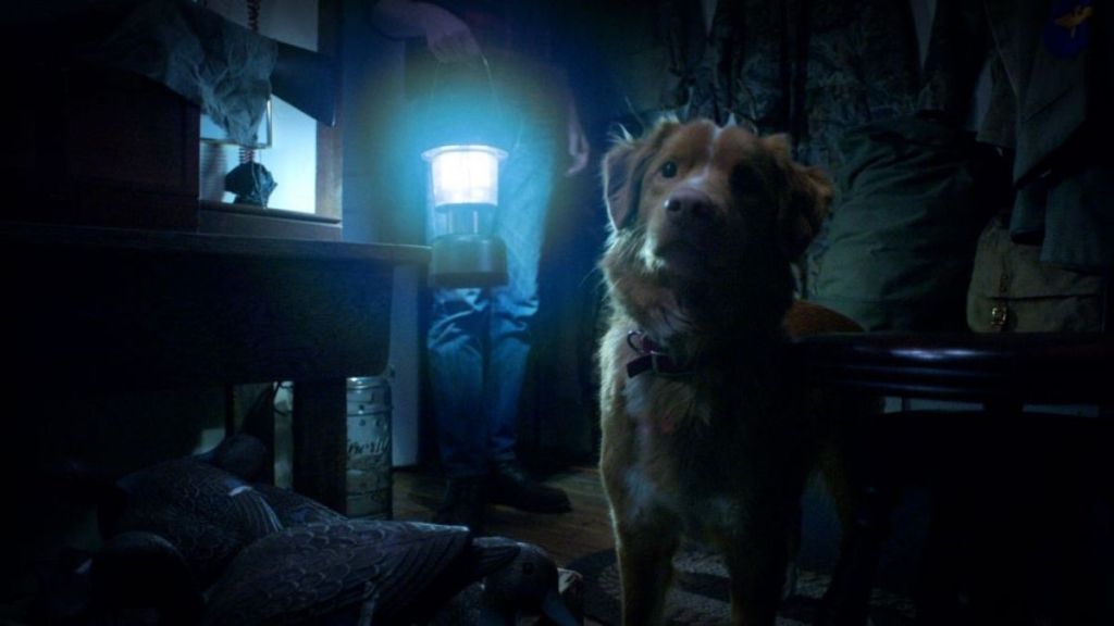 Good Boy to Receive Full Wide Release After the Viral Trailer