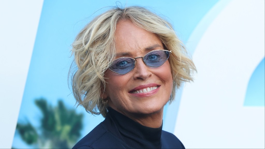 sharon stone underwear