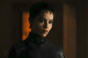 Zoe Kravitz Wants to Leave This 'Wild' Thing About Friends in the 90s
