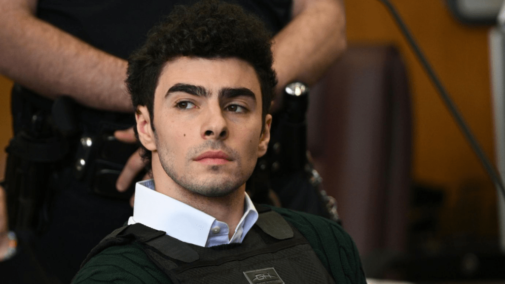 Luigi Mangione Spotted Modeling on SHEIN Despite Being Behind Bars