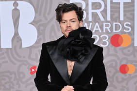 Harry Styles Mastered the Art of Living a Double Life Using Disguises, Source Claims