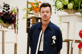 Harry Styles Making Major Changes in His Life to Date Zoe Kravitz, Says Source
