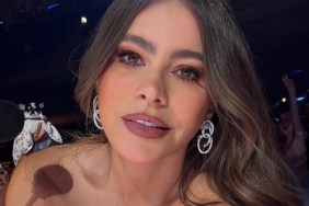 Fans React to Sofia Vergara in Corset Top With Daring Neckline: 'Beautiful'