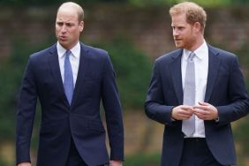 Prince Harry & Prince William Didn’t Make an Effort To Meet Amid Ongoing Rift, Source Claims