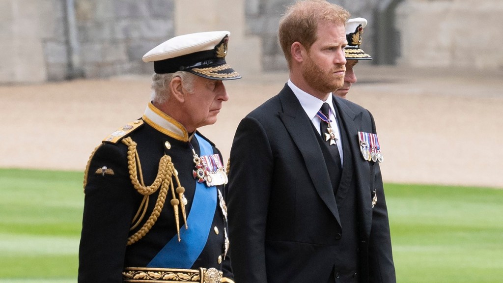 king charles prince harry