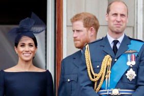 prince william