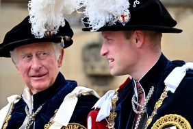 prince william king charles