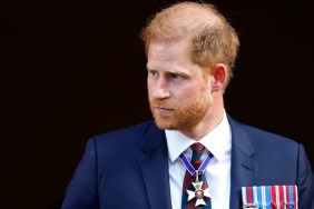 prince harry king charles reunion