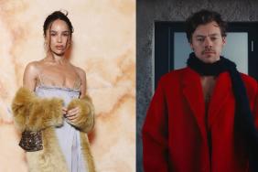 Zoe Kravitz & Harry Styles Are in a No-Label Relationship, Source Claims