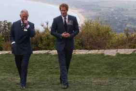 Prince Harry's Royal Return Plans Face Resistance From King Charles, Source Says