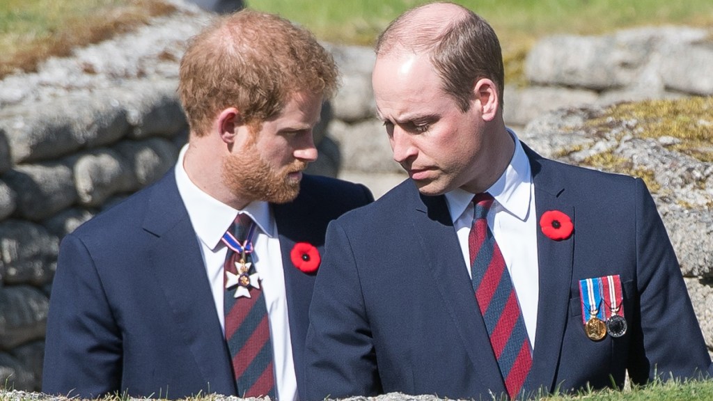 prince harry prince william