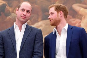 prince harry prince william