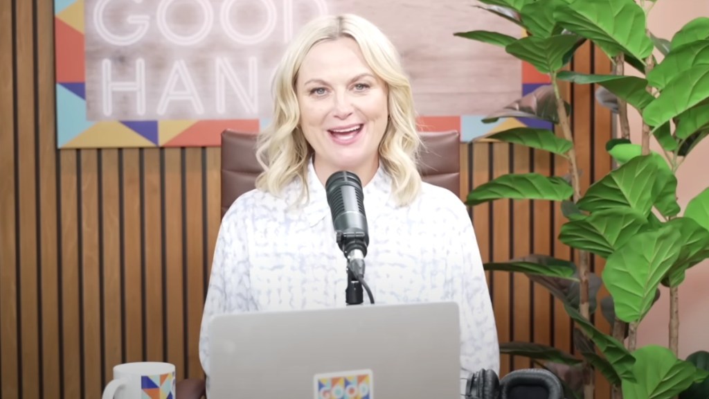 Amy Poehler Slams Oscars For Overlooking Comedy: 'That's Some Hot B******t'